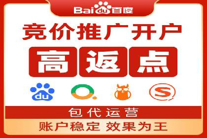 竞价端口开户后的广告投放策略案例